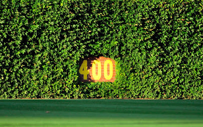Bleacher Bum Cards LLC — card shop in Urbana, Illinois