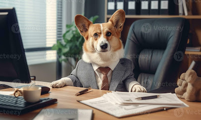 Corgi's Cards — card shop in Ashburn, Virginia