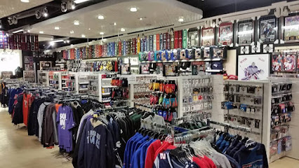 Fan Zone — card shop in Albany, New York