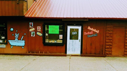 Orange cat Card & Comics — card shop in Escanaba, Michigan
